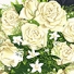 Lanitta.com :: Wedding illustration